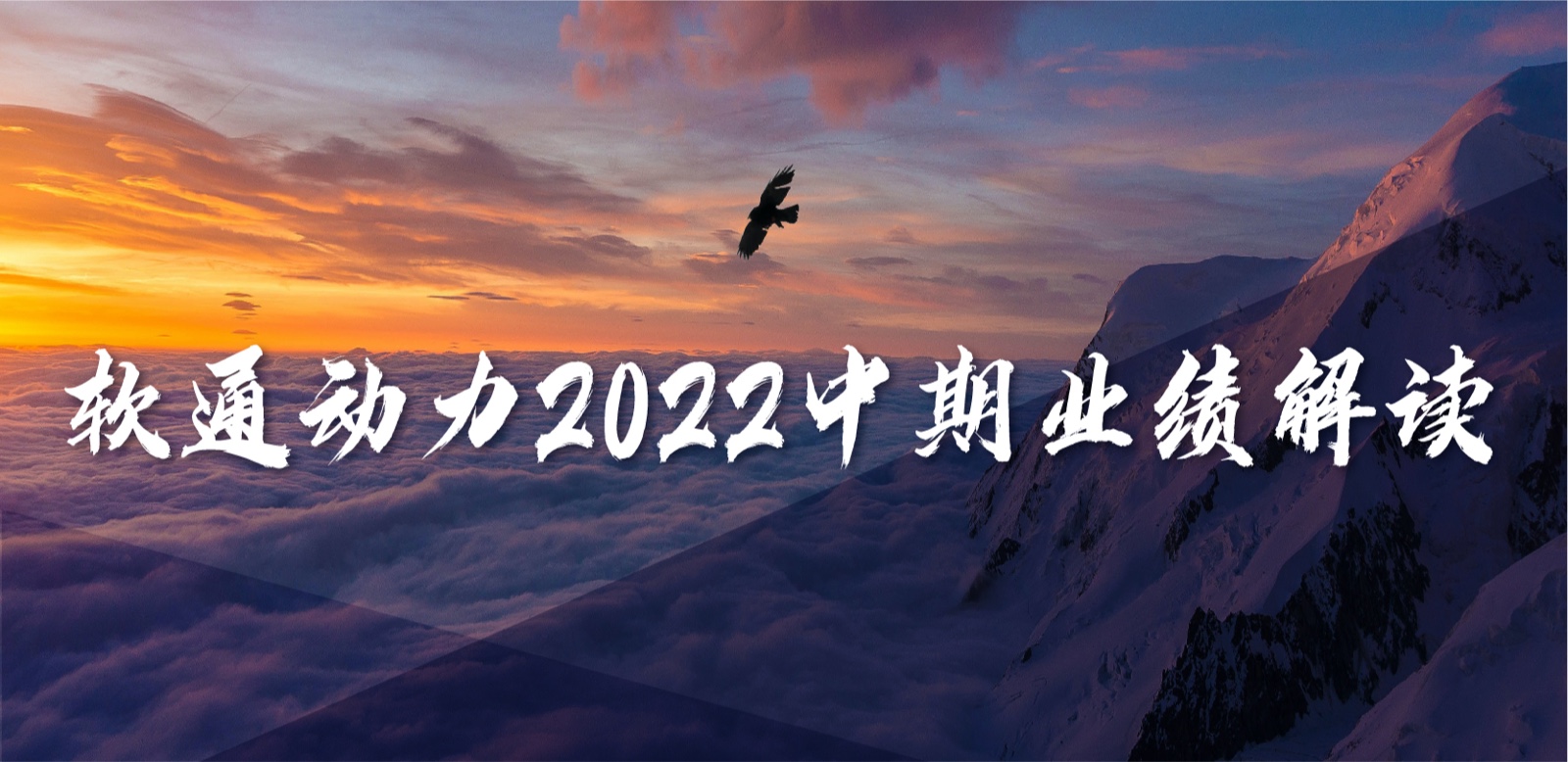軟通動力2022中期業績：務實敢為，營收穩定增長，持續優化業務布局