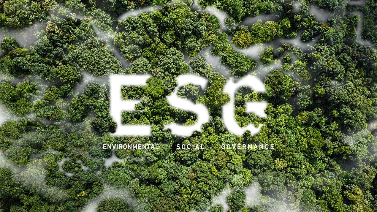 軟通動力ESG重大突破：首獲深交所國證最高AAA評級
